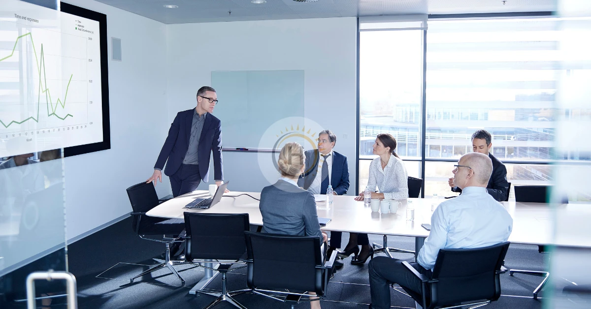 Risk Management - Hyperion Business Solutions